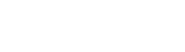 mentorix-logo-white_03
